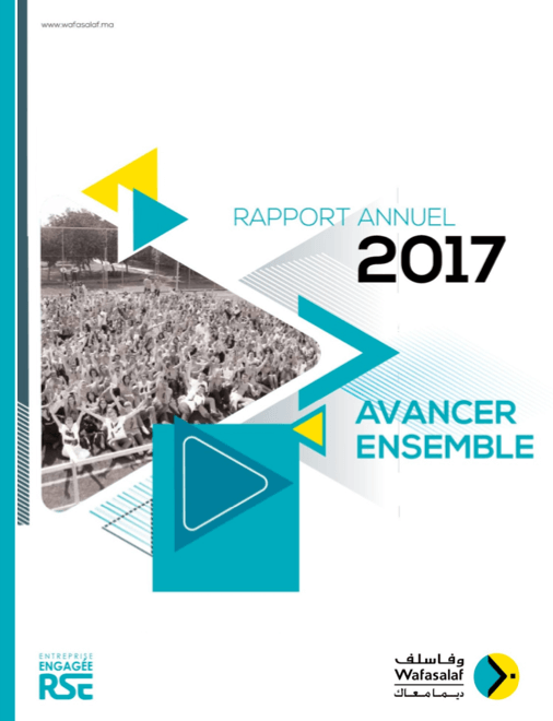 Rapport Annuel 2017