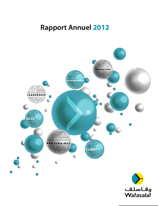 Rapport Annuel 2012