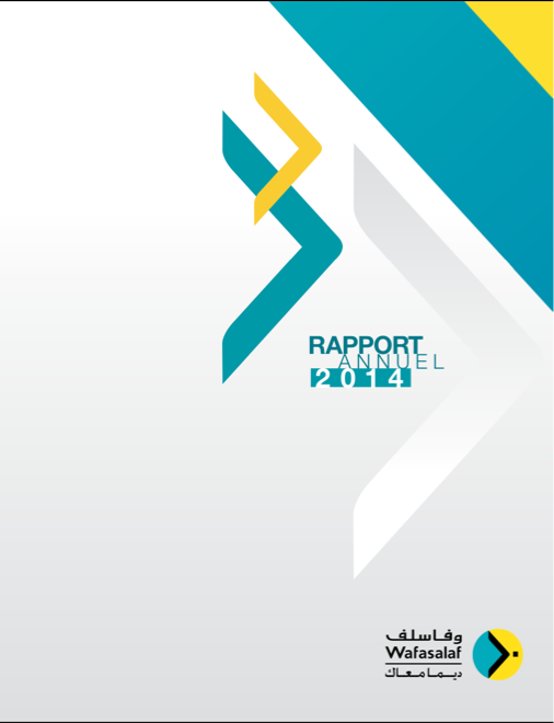 Rapport Annuel 2014