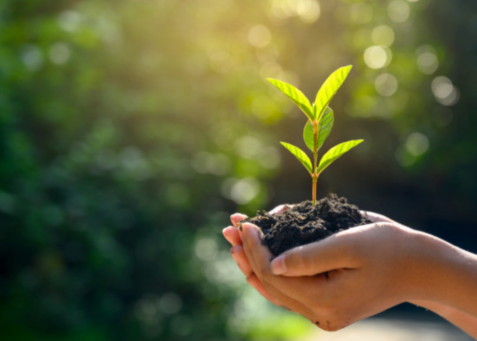 La_conscience_environnementale